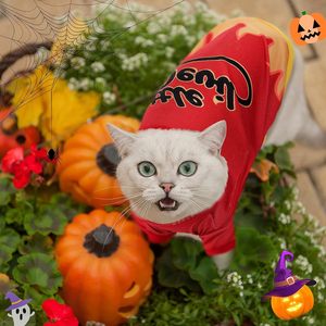 Camisetas de Halloween para Perros Weewooday, Talla Mediana, de Algodón, con Estampado de Dibujos Animados, Disfraz para Razas Pequeñas, Ropa Transpirable para Mascotas - Product Image 5
