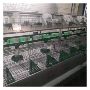 Vente en gros 2 étages 24 cellules <span class=keywords><strong>cages</strong></span> à lapins afrique du sud <span class=keywords><strong>cages</strong></span> à lapins commerciales industrielles pour cage à animaux - Product Image 6