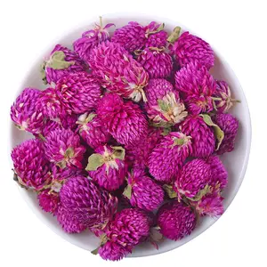 Großhandel chinesische kräuter natürliche Qian Ri Hong neu eingetroffen getrocknete Gomphrena globosa globe amaranth