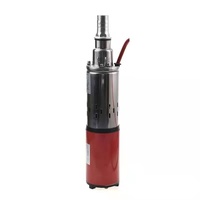 Pompe à vis à eau DC de haute qualité DL 250W avec une hauteur de refoulement maximale de 50 m, 12V/24V, dotée d'un moteur DC