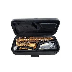 Seassund – Saxophone Alto professionnel OEM, café mat, Instrument à vent en bois JYAS102CFMT
