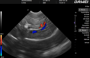 Mesin USG Ternak Dawei, Pemindai Kebuntingan Hewan, Mesin USG Veteriner Portabel - Product Image 5