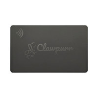 Kundenspezifische 213 215 216 Chip Programmierbare NFC Plastik-Visitenkarte