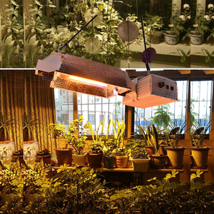 Lámpara De luz para cultivo De plantas De interior, accesorio De doble punta para horticultura, 1000w, CMH, Mh <span class=keywords><strong>Hps</strong></span> - Product Image 5