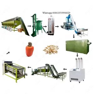 Nuts Cashew Machine New 500Kg/H Fully Automatic Peanut Cashew Nut Processing Machine Unit For Cashew