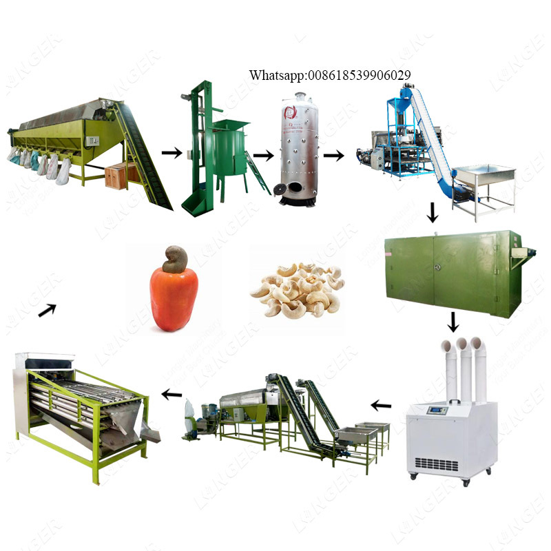 Full Automatic Raw Kaju Caju Production
