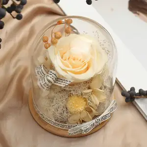 Çin fabrika sıcak satış toptan fiyat korunmuş gül ve bitkiler cam kubbe ile sevgililer günü düğün dekor için Led ışık