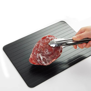 Aluminium Alloy Fast <b>Defrosting</b> Tray with Brush Tools for Thawing Frozen Meat Fish and Food - Product Image 2