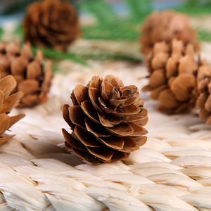 Feng Hui Artificial Pine Needles 10cm-30cm PVC Christmas <b>Tree</b> Decorations Natural Style Bouquet Individual Use - Product Image 4