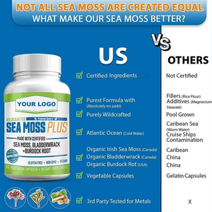 Premium Sea <strong>Moss</strong> Plus Capsules 60 Vegetarian Capsules for Thyroid &amp; Immunity - Product Image 5
