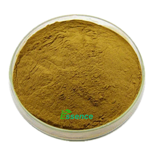 天然ブラフミーハーブサプリメント<span class=keywords><strong>20</strong></span>% 50% Bacosides Bacopa Monnieri Bacosidesエキスパウダー - Product Image 2