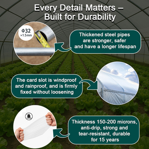 Kits de serres tunnel à faible coût pour la plantation de fleurs, serres agricoles à travée unique, serres agricoles en film plastique - Product Image 3