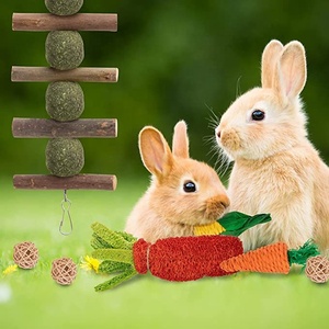 Jouets <span class=keywords><strong>pour</strong></span> lapins, jouets à mâcher <span class=keywords><strong>pour</strong></span> lapins <span class=keywords><strong>pour</strong></span> le grincement des dents, bâtonnets de pomme <span class=keywords><strong>en</strong></span> <span class=keywords><strong>bois</strong></span> naturel biologique à 100% et boules de foin de Timothy - Product Image 4