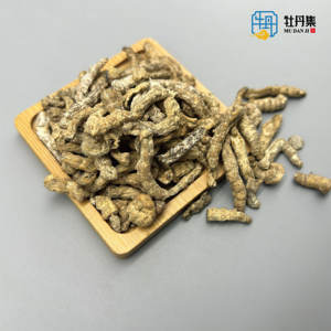 Gusanos de seda fritos de alta calidad Chao Jiang secos al por mayor precio bajo gran oferta buen gusto - Product Image 4