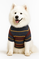 Tenues et accessoires de vêtements pour animaux de compagnie à blocs de couleur à rayures Vêtements d'hiver pour animaux de compagnie pour chats Vêtements pour chiens préférés des vendeurs