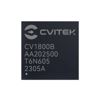 Milk-V CVITEK CV1800B SOPHON SG2000 SG2002 RISC-V 64-bit Linux