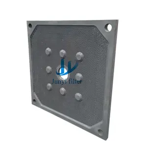 Plate And Frame PP Filter Plate For Food Processing Industry