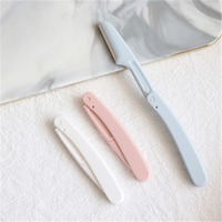 Outil de maquillage poignée d'outil de Dermaplane en métal réutilisable rasoir à sourcils avec lames de rechange