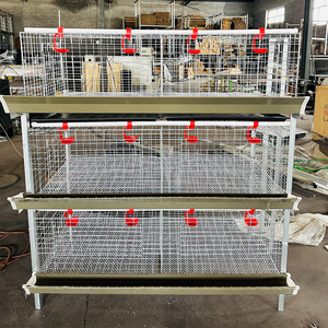 Nuovo Sistema di Pulizia Manuale a Batteria per Gabbie di Allevamento per <span class=keywords><strong>Polli</strong></span> <span class=keywords><strong>da</strong></span> <span class=keywords><strong>Carne</strong></span> per un Allevamento Avicolo Efficiente - Product Image 6