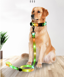 Noche brillante lujo USB recargable LED autoiluminante mascota gato perro Collar suave acolchado Nylon moderno clásico personalizado - Product Image 3
