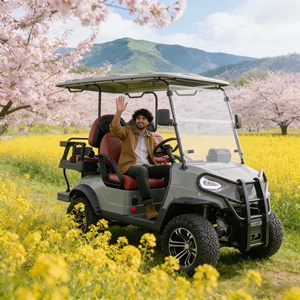 Véhicule utilitaire électrique de Type UTV, buggy <span class=keywords><strong>tout</strong></span>-<span class=keywords><strong>terrain</strong></span>, pour agricole et le jardin - Product Image 5