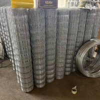 Cercas para Ganado, Malla de Alambre Galvanizado por Inmersión en Caliente, Panel de Malla de Alambre con Orificios Cuadrados, Blanco, Soldado, Tamaño Personalizado, para Granjas, Ganado Vacuno, Caballos, Ovejas, Cabras