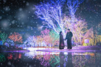 10M 100 LED Warmweiß Weihnachts feiertag Lichterkette IP65 Wasserdicht Innen/Außen 220V Dekorative Baum fernbedienung