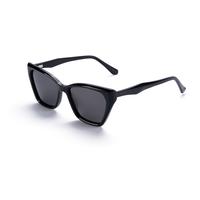 Lunettes de soleil Elan Optical SYB6209, monture œil de chat tendance, sans peinture, pour hommes et femmes, monture en acétate naturel parfumé