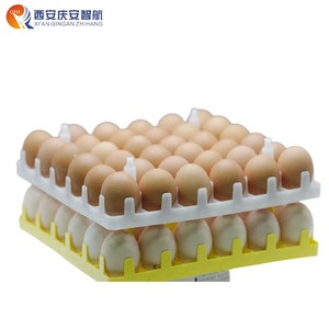 Plateau de transport PP QZH pour 36 œufs de poule pondeuse, emballage de haute qualité pour poulailler, prix usine - Product Image 6