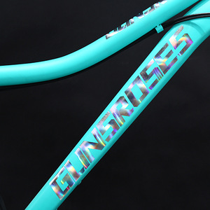 Horquilla de Bicicleta de Montaña de 26 Pulgadas con Aro Hueco, Suspensión, Cuadro de Acero al Carbono, Neumático Ancho de 40mm, Venta al por Mayor de Fábrica - Product Image 5