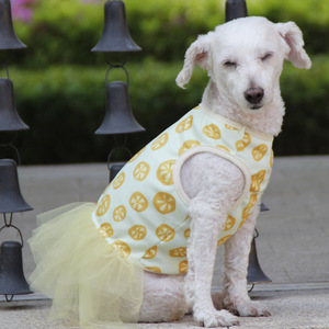 Vestido ligero de verano para mascotas, falda tutú estilo princesa para perros pequeños, ropa para perros Bichon Frise Teddy, traje de verano - Product Image 4