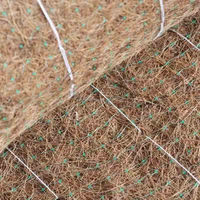Tapis en fibre de coco naturelle de 380 g pour la stabilisation des pentes vertes