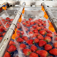 Multifunctionele ozonbel fruit- en groentewaslijn voor aardbeien, kool en paprika