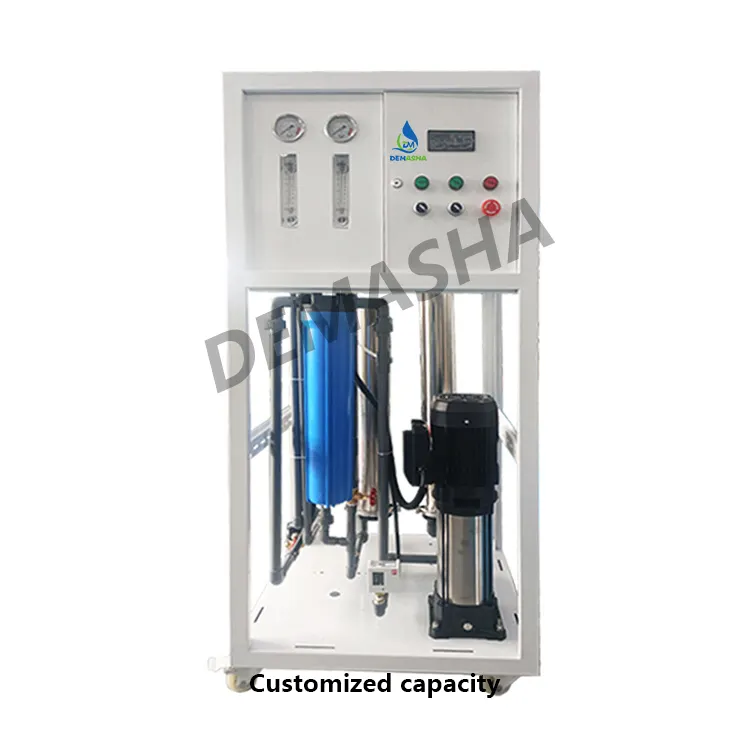 DMS 500L/Hro水処理逆浸透工業用水フィルターシステム直接飲料水用