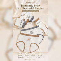 Al por mayor Bragas sin costuras acanaladas con estampado de oso para mujer, de tiro medio, suaves, transpirables, de alta elasticidad, con refuerzo antibacteriano 7A, para uso diario, ODM