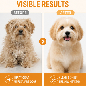 Champú para Mascotas a Base de <span class=keywords><strong>Avena</strong></span> para <span class=keywords><strong>Perros</strong></span> y Gatos, Desodorante, Anti-picazón, Antibacteriano, con Fragancia Duradera, Disponible para Procesamiento OEM - Product Image 5