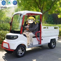 Voiturette de golf multifonctionnelle à quatre roues, 2 places, 3000 W, vente directe d'usine, haute qualité, prix bas, nouveau mini-bus électrique