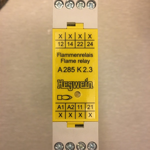 Hegwein Flame <b>Relay</b> A285K2.3 90-110 VDC Contact Load 1A 250VAC Safety <b>Relay</b> Germany - Product Image 5