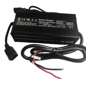 12V 20A hızlı şarj cihazı DC 14v 14.4v 14.6v lityum iyon LiFePo4 pil şarj cihazı için Scooter bisiklet, e-motosiklet, turizm otobüsü,