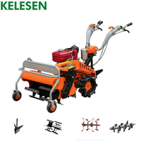Désherbeuse à haute efficacité KELESEN, machine à désherber performante, mini-désherbeuse à prix bas