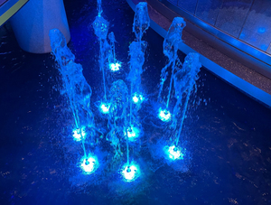Luce ad Anello LED RGB DMX 316LSS 40W per Fontana da Giardino, Decorativa IP68, Sommergibile Subacquea con Effetto Acqua Danzante e <span class=keywords><strong>Musica</strong></span> in Acciaio Inox - Product Image 5