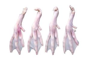 Patas de Pato Congeladas BQF Premium, Grado A, Venta al Por Mayor, 24 Meses de Vida Útil, Para Hoteles, Restaurantes, Catering, Importadores Globales - Product Image 2