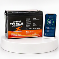 Batteries LiFePO4 12V 24V 48V 8000 cycles 100Ah 200Ah 300Ah avec BMS, chauffage et Bluetooth pour systèmes solaires