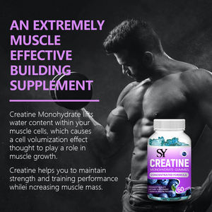 איכות גבוהה מרוכזת קריאטין תמיכה שרירים הבניין לשפר את כוח להגביר את כוח פעילות גופנית נוסחה טבעית - Product Image 4