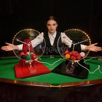 Machine de tirage de loterie portable à LED personnalisée pour mini jeu de bingo et loto, avec 100 numéros et balles de ping-pong