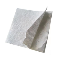 Géotextile non tissé en PP léger et résistant aux déchirures, garantie 5 ans, pour filtration agricole, séparation des sols, serres