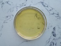 Extrait d'ail vieilli à l'allicine et au dialyl trisulfide 100:1, emballage en vrac, huile d'ail inodore