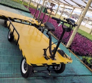 Carro de Transferencia Eléctrico Plano Industrial de Alta Resistencia de 1000 kg para Logística y Transporte - Product Image 2