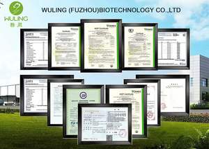 Kruidenplantensupplement Leeuwenmanenextract Champignonpoeder Voedsel Wuling Vruchtlichaam 10:1 20:1 Maitake Champignonextract Poeder - Product Image 6