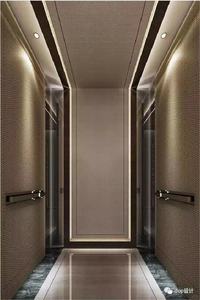 Ascenseur d'habitation pour villa, ascenseur/élévateur/de passagers ou ascenseur d'observation ou ascenseur/voiture décoratif ajouté OTIS - Product Image 2